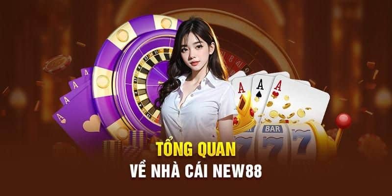 Giới thiệu sơ qua về sự thành lập của New88