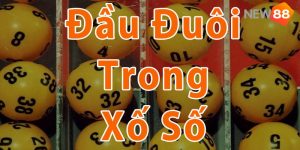 đầu đuôi trong xổ số