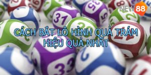 soi cầu hình quả trám