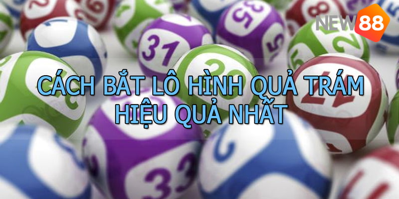 Một vài điều phải tránh khi soi cầu hình quả trám