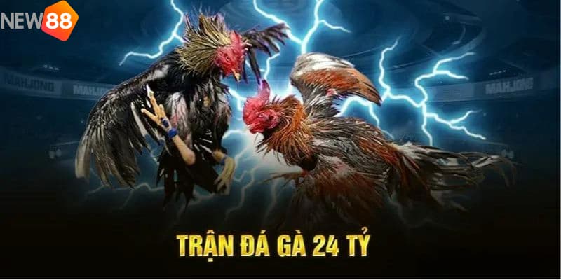 Trận đá gà 24 tỷ: Khi sự cạnh tranh trở nên siêu khủng